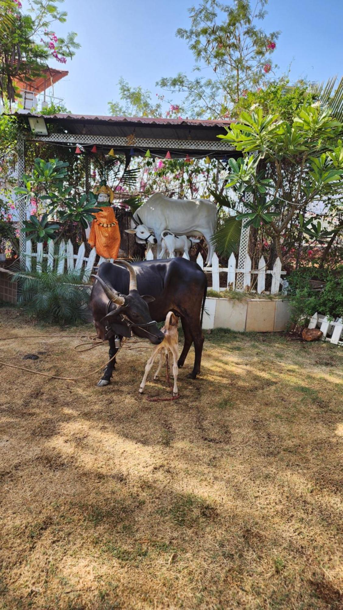 Saifarms Private Farmhouse Between Pune & Lonavala Nethersole Dam Exteriér fotografie